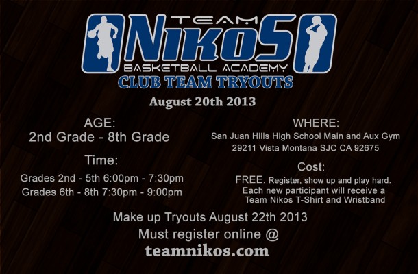 Team Nikos Flyer 2013 dark court copy (1)