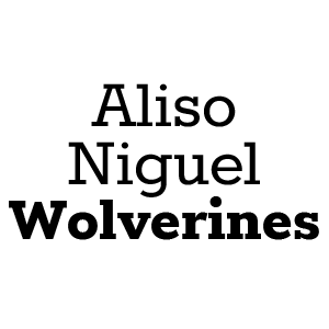 Aliso Niguel Wolverines Logo